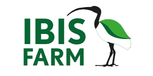 Ibis Farm